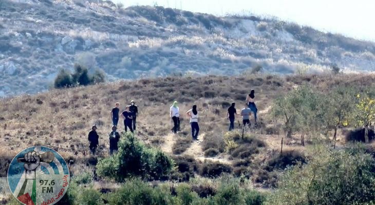 مستوطنون يرعون أغنامهم بين مساكن المواطنين غرب أريحا