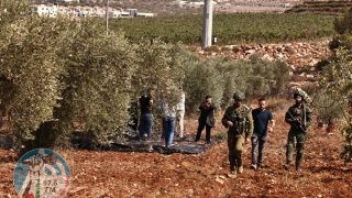 الاحتلال يمنع المزارعين من العمل في أراضيهم في ديراستيا غرب سلفيت