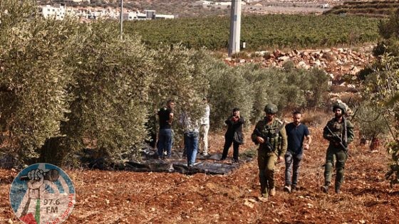 الاحتلال يمنع المزارعين من العمل في أراضيهم في ديراستيا غرب سلفيت