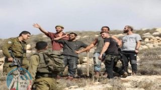 مستعمرون يعتدون على المواطنين في وادي الفاو بالأغوار الشمالية