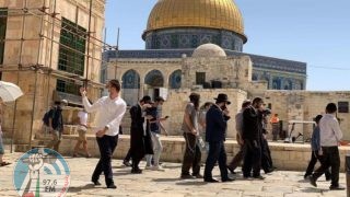 مستعمرون يقتحمون المسجد الأقصى المبارك