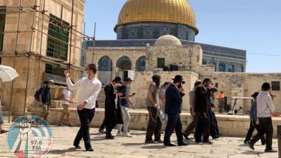 مستعمرون يقتحمون المسجد الأقصى المبارك