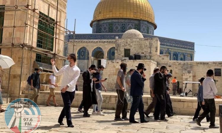 مستعمرون يقتحمون المسجد الأقصى المبارك