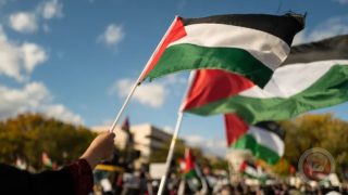 رابطة برلمانيون لأجل القدس وفلسطين تُعرب عن تقديرها لمجموعة لاهاي واستعدادها للتعاون المشترك