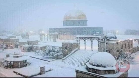 موجة باردة جدا قادمة – منخفضات جوية وأمطار غزيرة وثلوج