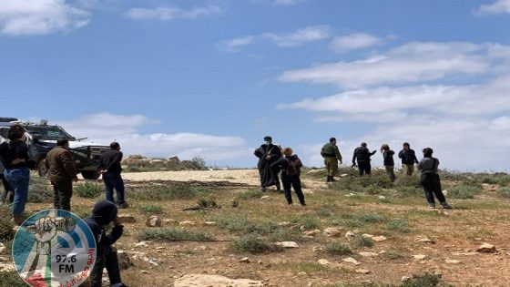 مستوطنون يرعون محاصيل المواطنين في الأغوار الشمالية