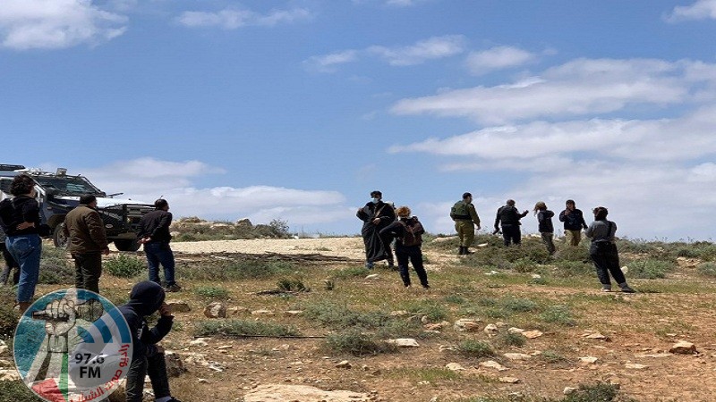 مستوطنون يرعون محاصيل المواطنين في الأغوار الشمالية