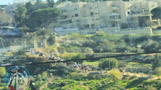 مسيرة استفزازية للمستعمرين في الخليل
