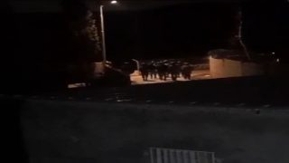 قوات الاحتلال تعتقل ثلاثة مواطنين من كيسان شرق بيت لحم