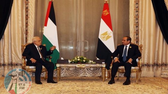 الرئيس يجتمع مع نظيره المصري