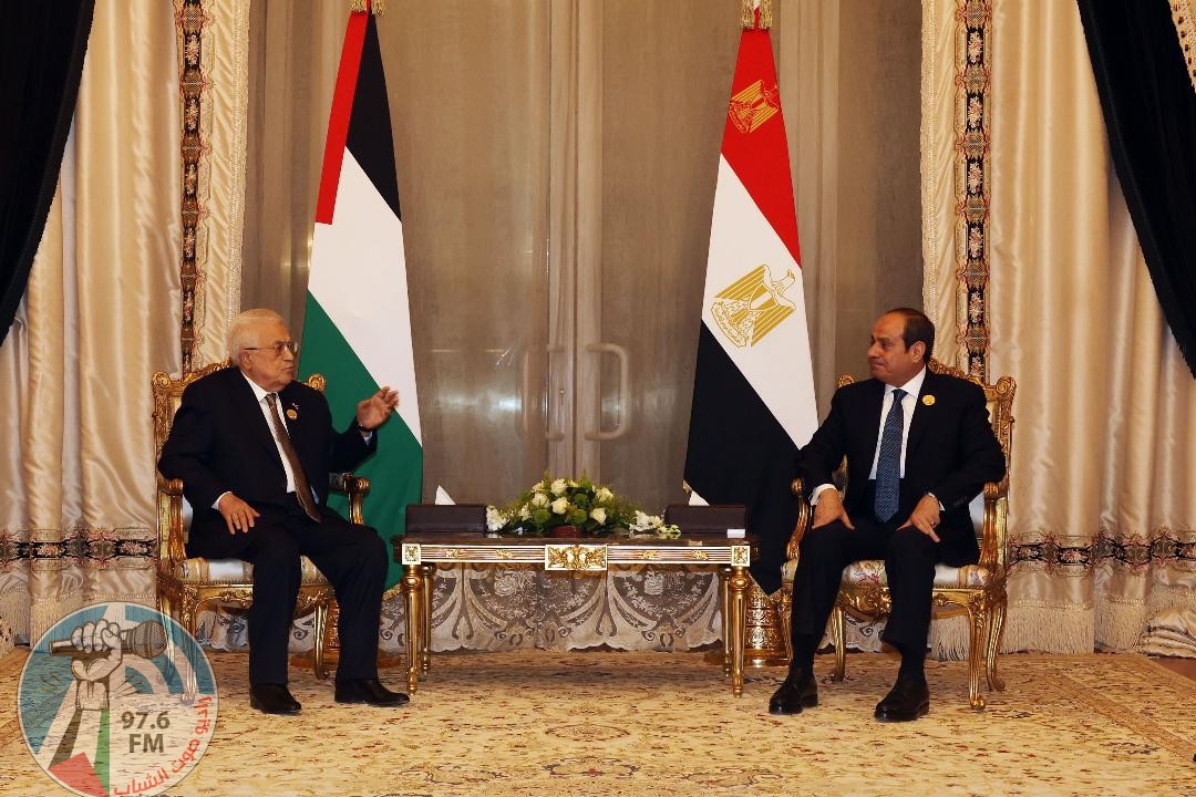 الرئيس يجتمع مع نظيره المصري