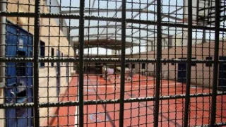 "هيئة الأسرى" تحذر من انتشار فيروس خطير في قسم (3) من سجن "مجدو"