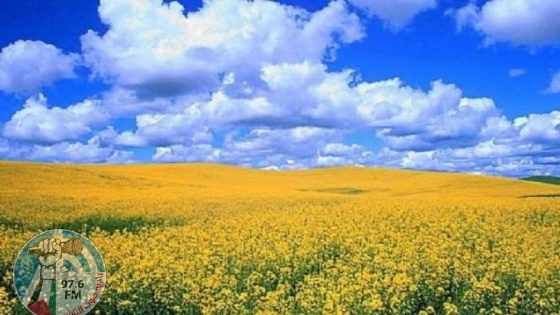 حالة الطقس: أجواء غائمة جزئيا وربيعية لطيفة معتدلة