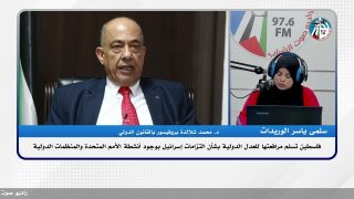 فلسطين تسلم مرافعتها للعدل الدولية بشأن التزامات إسرائيل بوجود أنشطة الأمم المتحدة والمنظمات الدولية