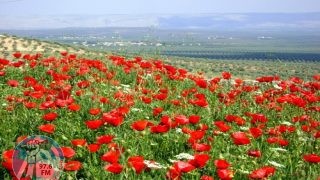 حالة الطقس: ارتفاعات متتالية على درجات الحرارة حتى السبت