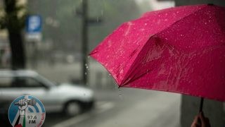 “الإحصاء” و”الأرصاد”: شح كميات الأمطار خلال الموسم المطري في محافظات الضفة