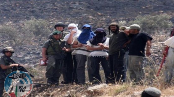 إصابتان في اعتداءات مستعمرين على رعاة الأغنام في الأغوار الشمالية