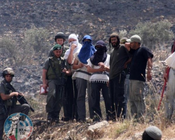 إصابتان في اعتداءات مستعمرين على رعاة الأغنام في الأغوار الشمالية