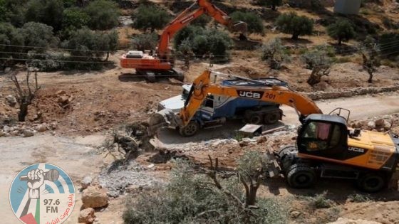الاحتلال يواصل تجريف أراضٍ واقتلاع أشجار زيتون غرب سلفيت