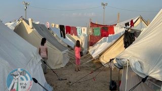 مقرر أممي: فكرة الترحيل الجماعي للفلسطينيين من قطاع غزة “مجرد خيال”