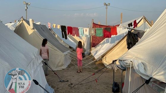 مقرر أممي: فكرة الترحيل الجماعي للفلسطينيين من قطاع غزة “مجرد خيال”
