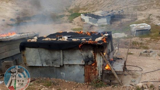 مستعمرون يقيمون بؤرة جديدة قرب نبع العوجا شمال أريحا
