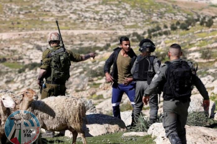مستعمرون يهاجمون رعاة الأغنام في مسافر يطا