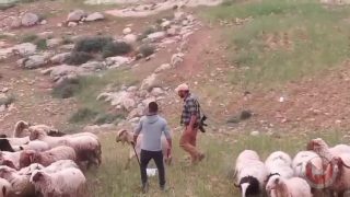 الاستيطان الرعوي يقوض حياة مواطني مسافر يطا ويهددهم بالتهجير