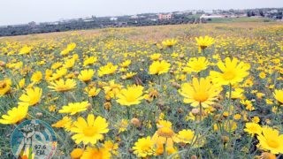 الطقس: أجواء ربيعية وارتفاع على درجات الحرارة