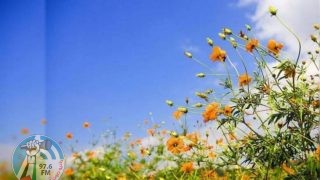 الطقس: أجواء ربيعية ودرجات الحرارة حول معدلها العام
