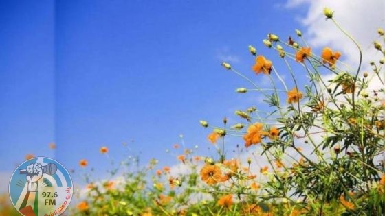 الطقس: أجواء ربيعية ودرجات الحرارة حول معدلها العام