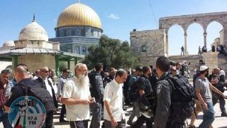 مستعمرون بقيادة المتطرف "غليك" يقتحمون الأقصى