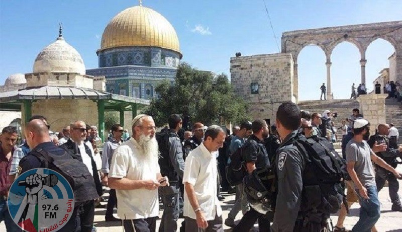 مستعمرون بقيادة المتطرف "غليك" يقتحمون الأقصى