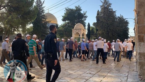مئات المستعمرين يقتحمون المسجد الأقصى في رابع أيام "الفصح اليهودي"