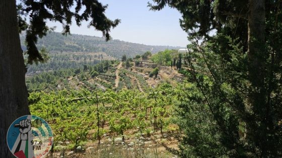 حالة الطقس: درجات الحرارة حول معدلها السنوي العام