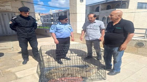كيف أعادت الشرطة “أبو قشعم” إلى حديقته في بيت لحم