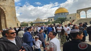 1743متطرفا يقتحمون الأقصى