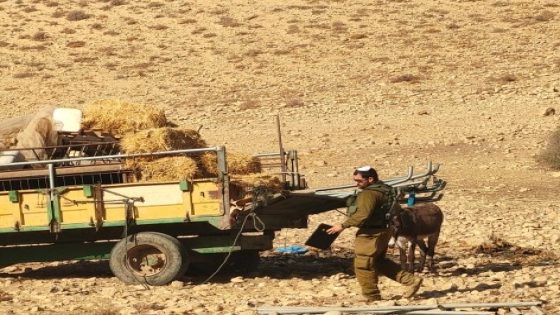 الأغوار الشمالية: مستوطنون يسرقون ممتلكات المواطنين
