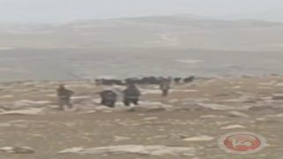 مستوطنون يعتدون على ممتلكات المواطنين في المنيا جنوب بيت لحم