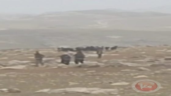 مستوطنون يعتدون على ممتلكات المواطنين في المنيا جنوب بيت لحم