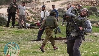 مستعمرون يصيبون عددا من المواطنين ويستولون على أغنام في كيسان