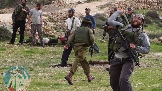 مستعمرون يصيبون عددا من المواطنين ويستولون على أغنام في كيسان