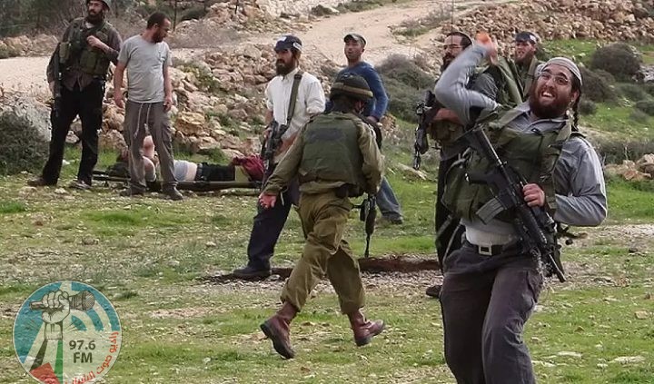 مستعمرون يصيبون عددا من المواطنين ويستولون على أغنام في كيسان