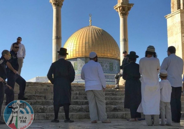 مستعمرون يقتحمون المسجد الأقصى ويؤدون طقوسا تلمودية أمام قبة الصخرة