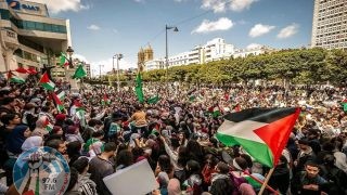 مصريون يتظاهرون بعدة محافظات رفضا للتهجير والإبادة الإسرائيلية ويتوجهون إلى المعبر الحدودي مع غزة