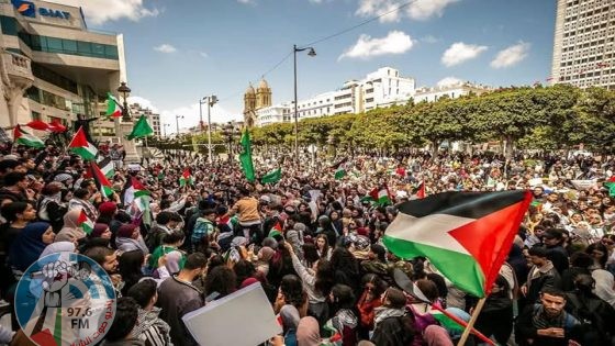 مصريون يتظاهرون بعدة محافظات رفضا للتهجير والإبادة الإسرائيلية ويتوجهون إلى المعبر الحدودي مع غزة