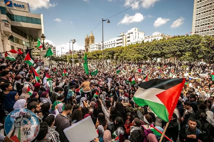 مصريون يتظاهرون بعدة محافظات رفضا للتهجير والإبادة الإسرائيلية ويتوجهون إلى المعبر الحدودي مع غزة