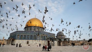 المفتي: الجمعة 6/6 أول أيام عيد الأضحى
