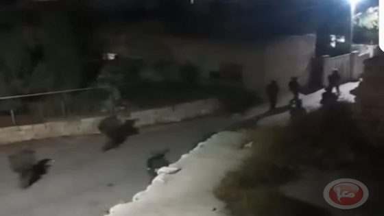 الاحتلال يعتقل 20 مواطنا ويداهم عددا من المنازل قي ديراستيا