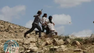 مستعمرون يحطمون مولدات الطاقة بمسافر يطا
